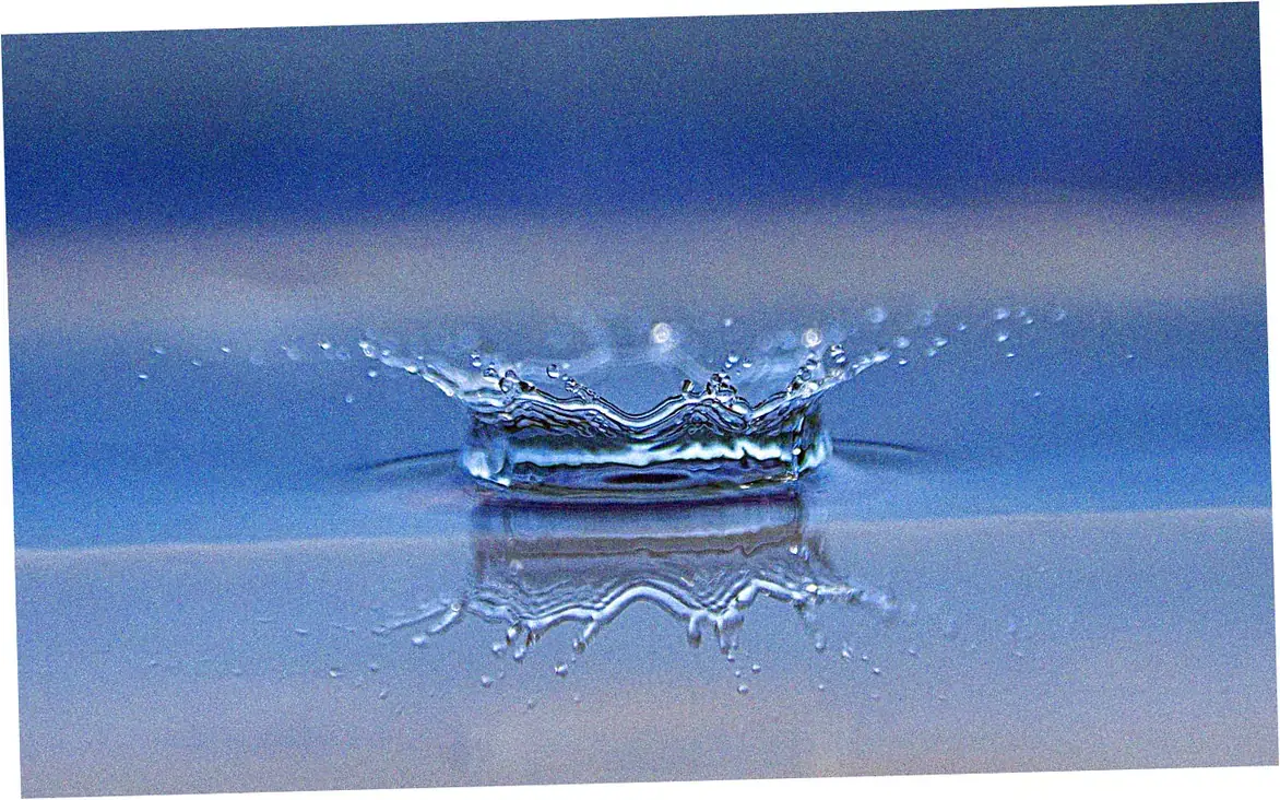 Environmental designs mimic Ripple hall principles