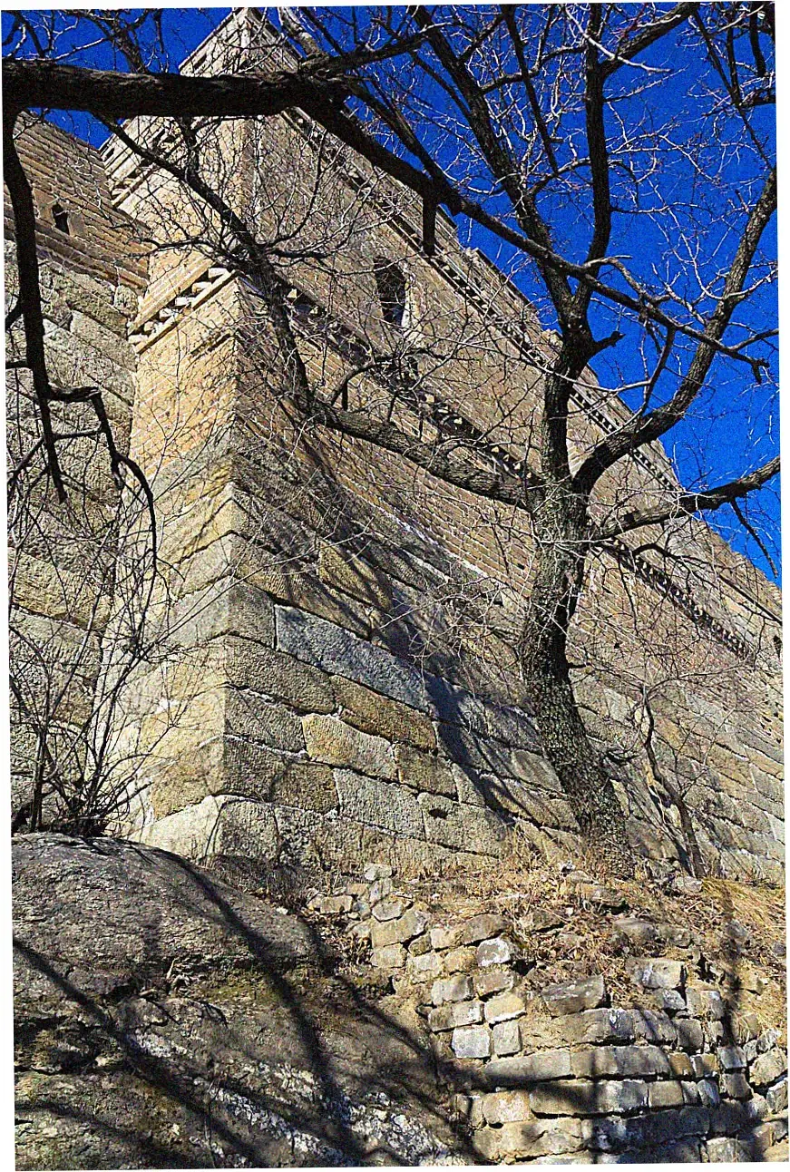 Great Wall towers impact on local ecosystems