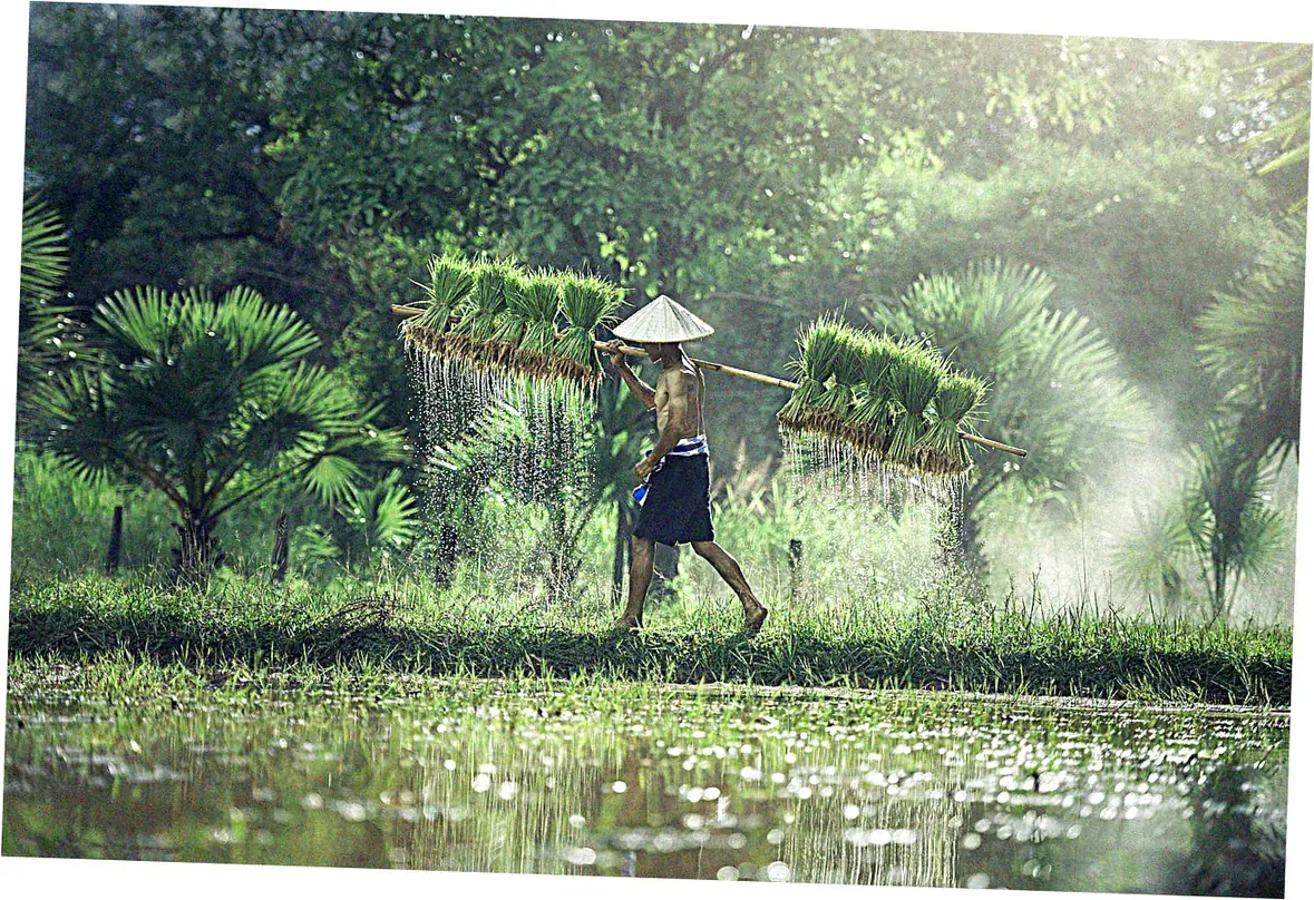 Guilin rice noodles cultural significance today