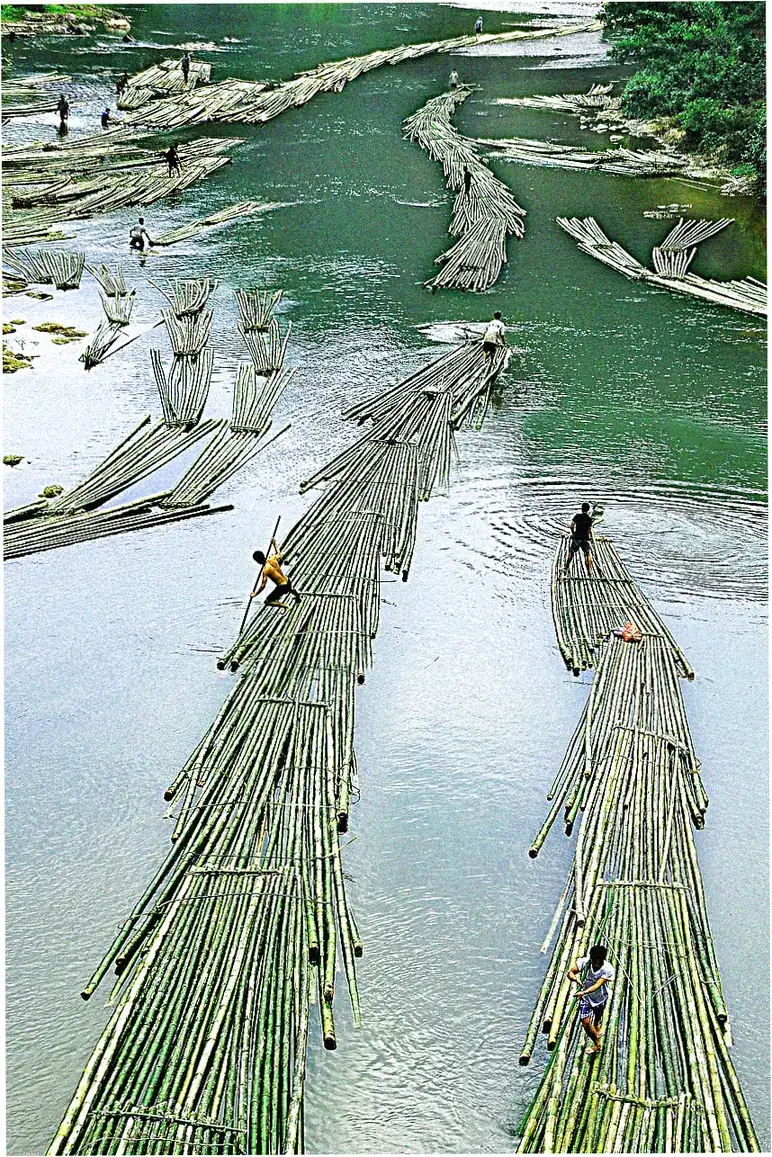 Bamboo Garden Hotel cultural activities and local experiences