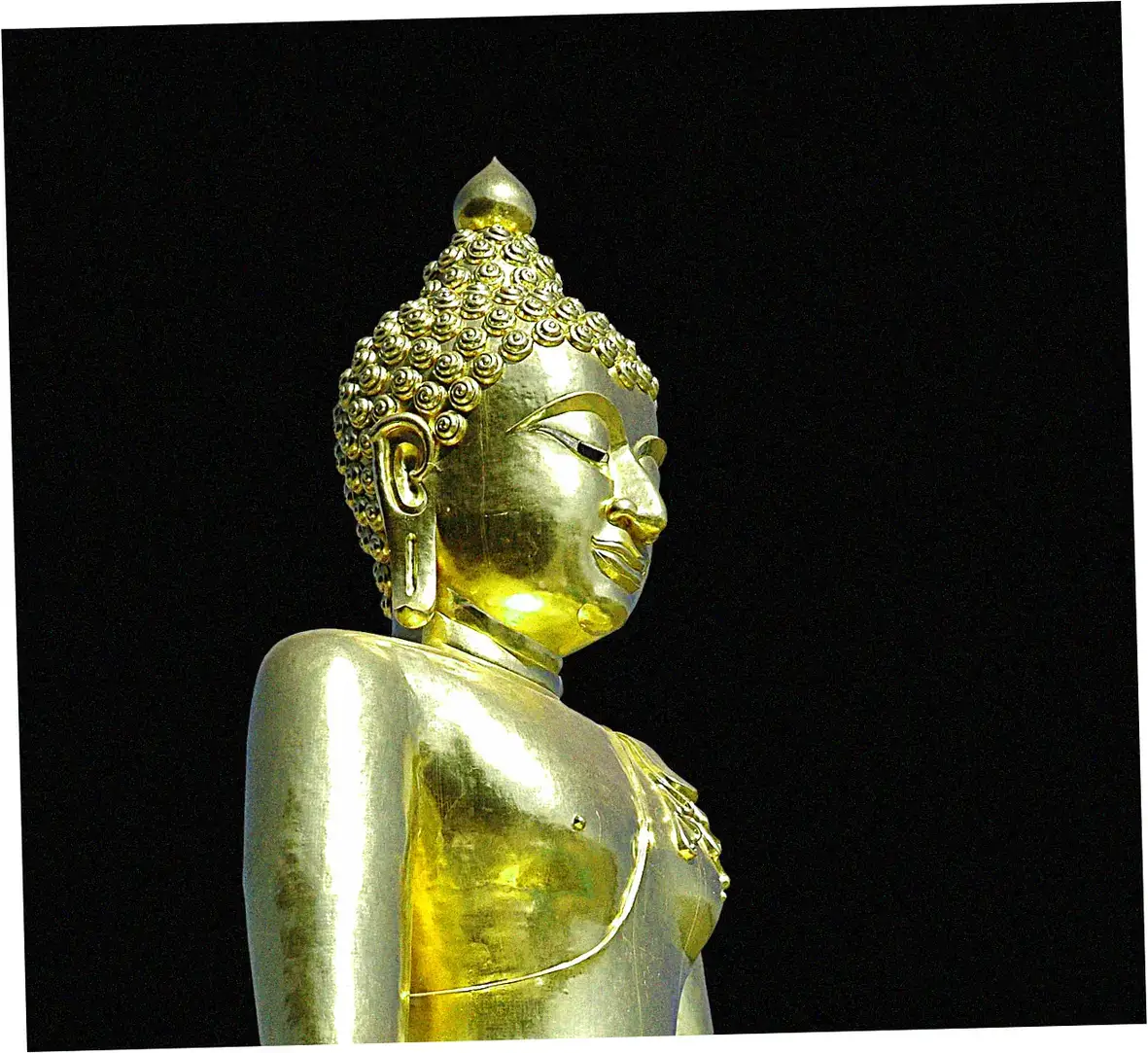 When did Buddhist vegetarian traditions begin?