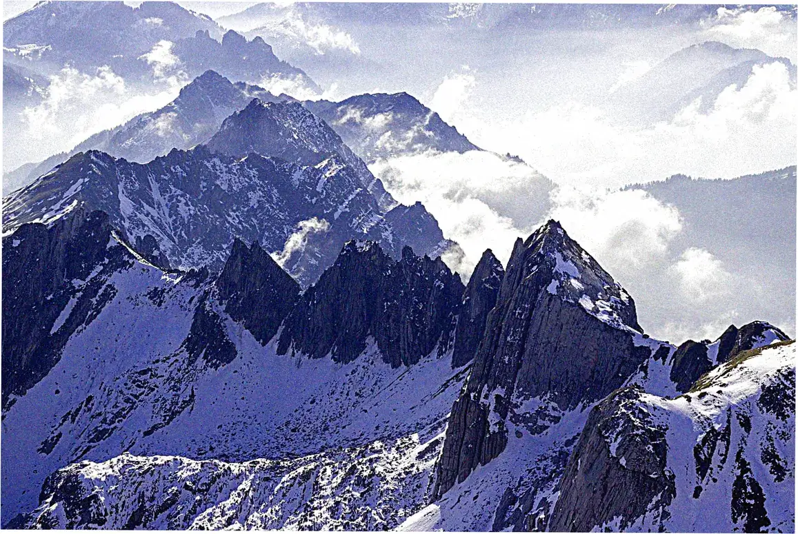 Longquan Mountain wildlife and birdwatching