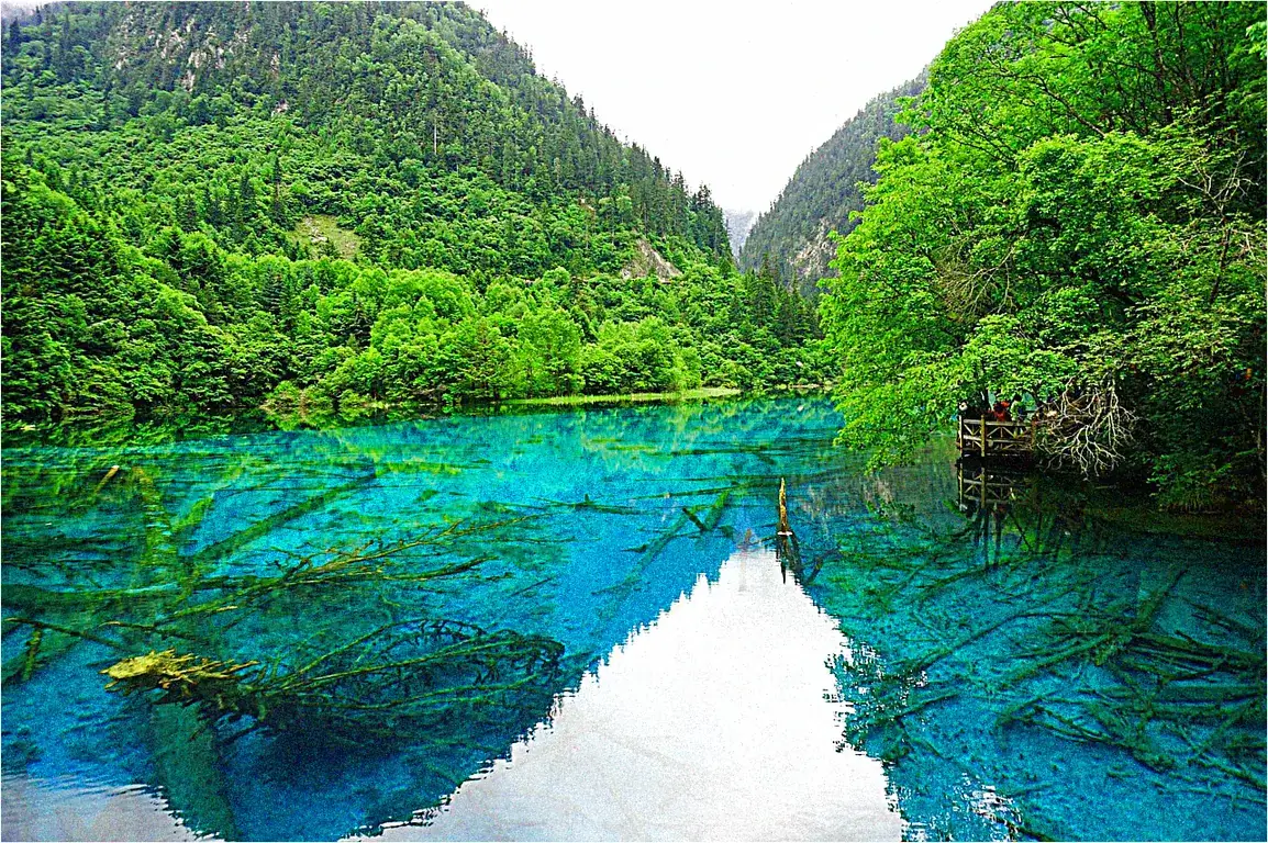 How does altitude affect Sichuan spice perception?