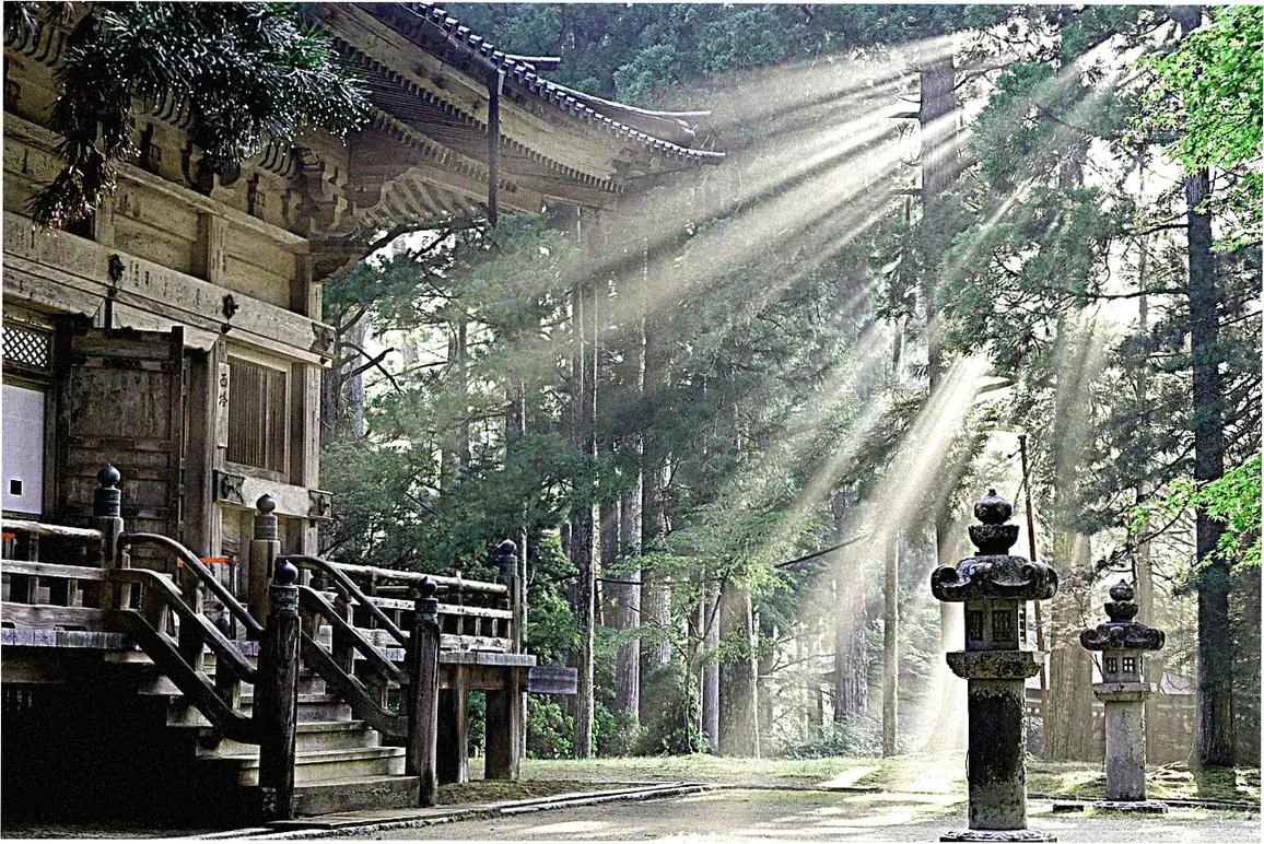 Nearby dining options after Jietai Temple visit