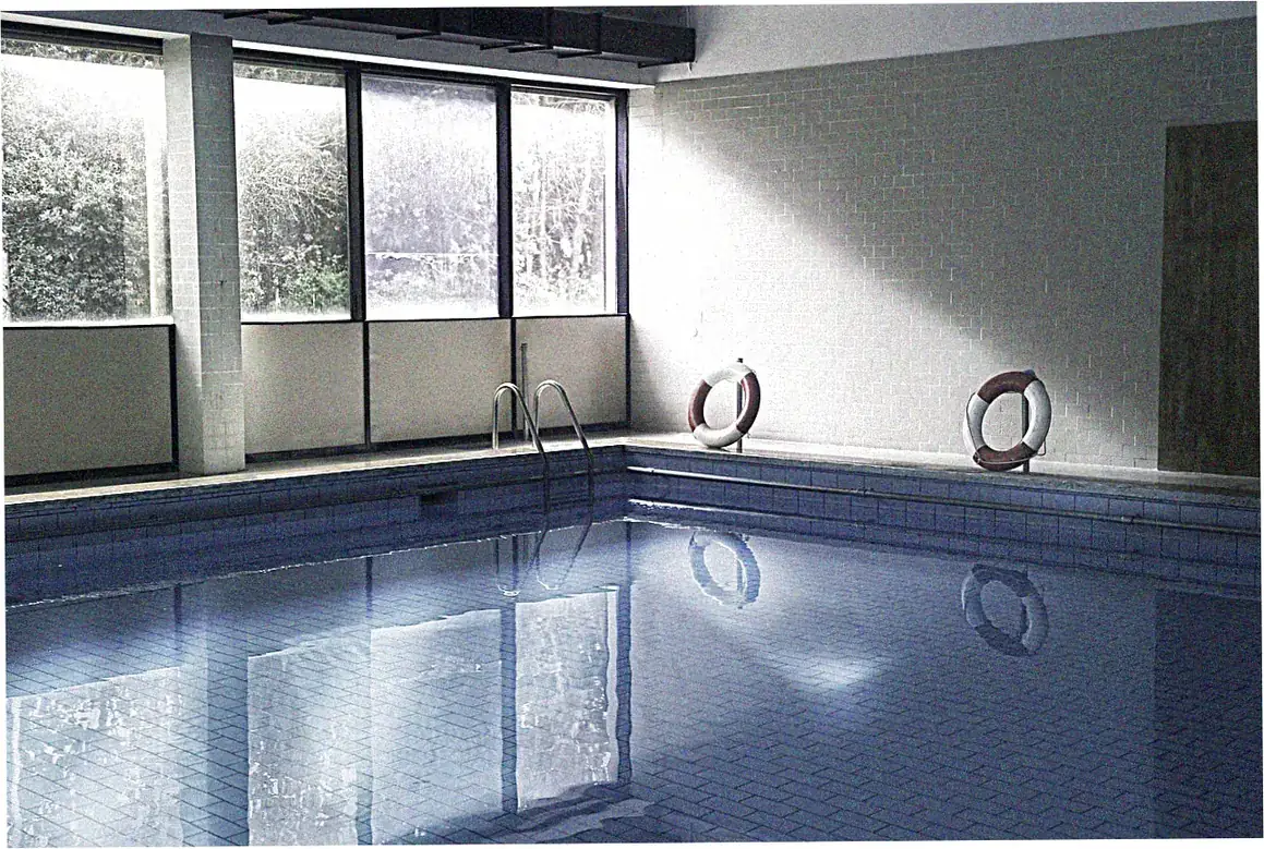 Professional Dragon Pool Services