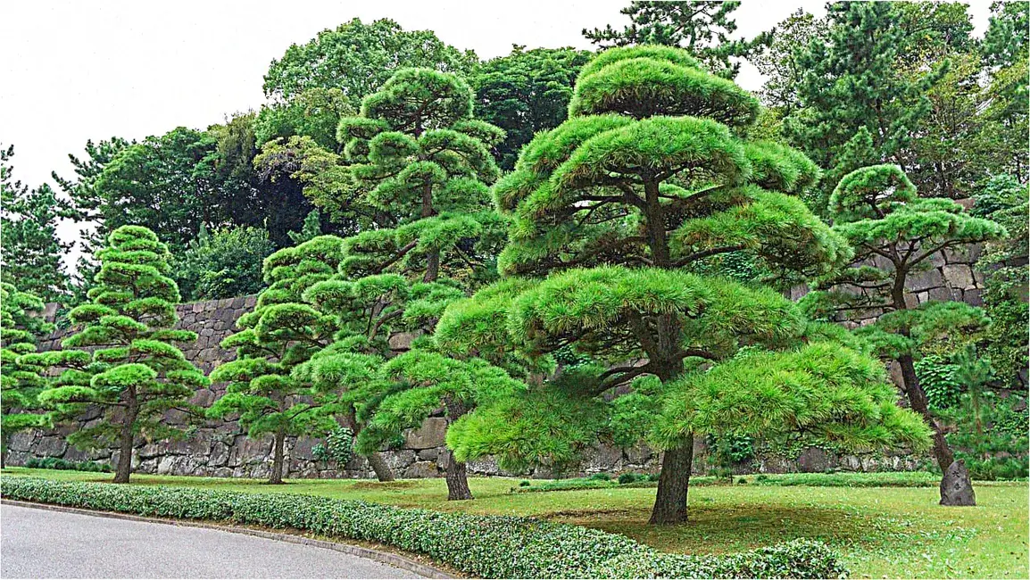 How to navigate Imperial Gardens without getting lost