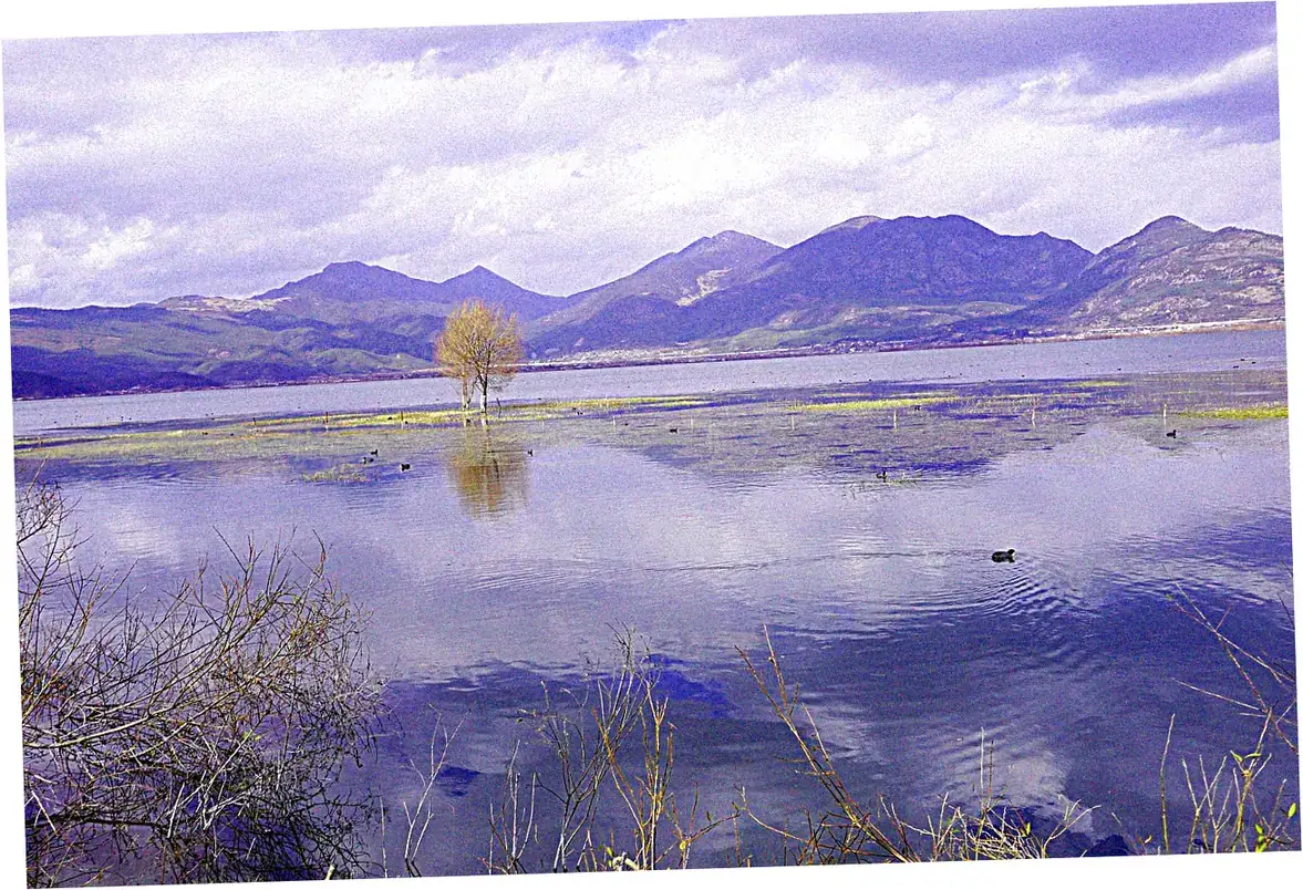 10. Lijiang's Culinary Delights