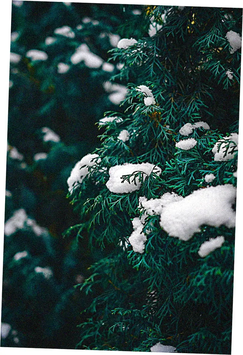 3. Winter: Mild But Misunderstood