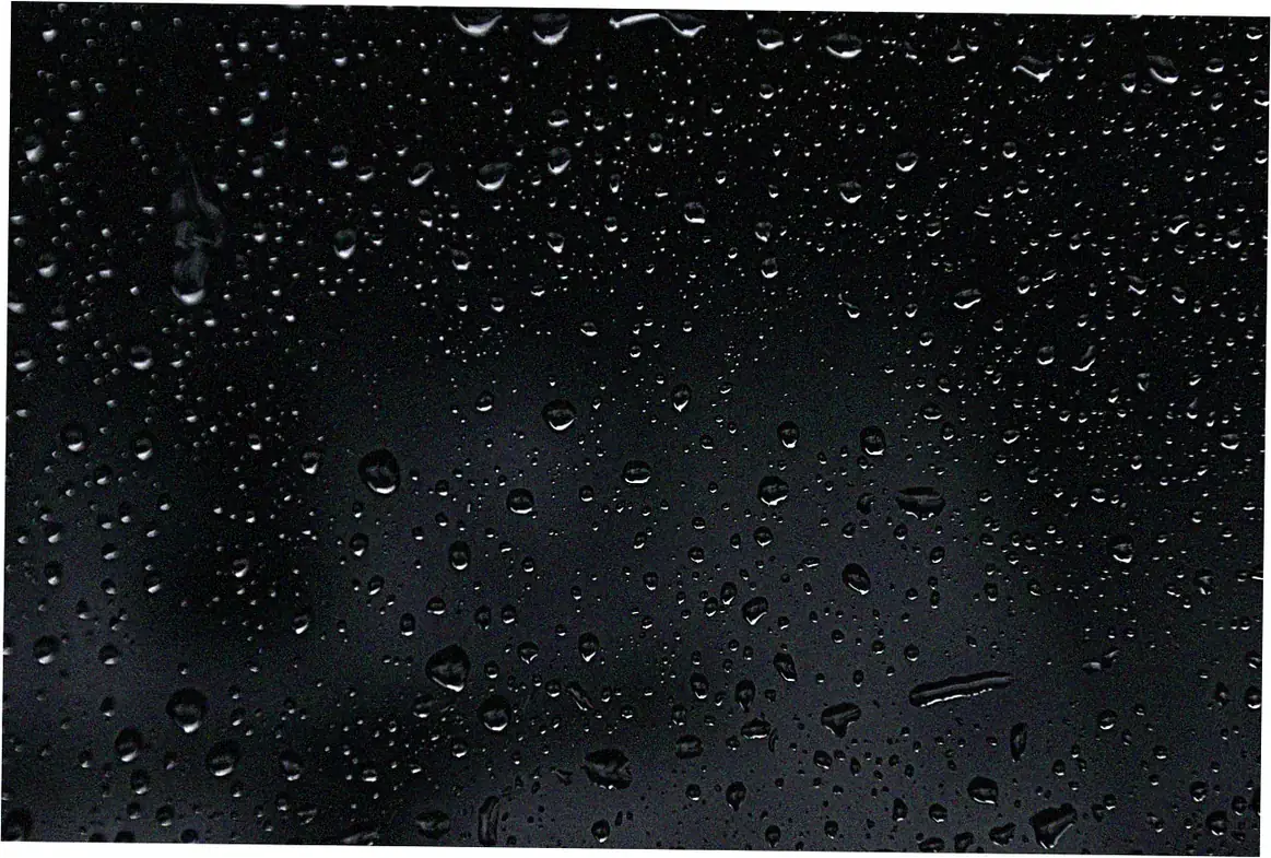 4. Annual Rainfall Patterns Decoded