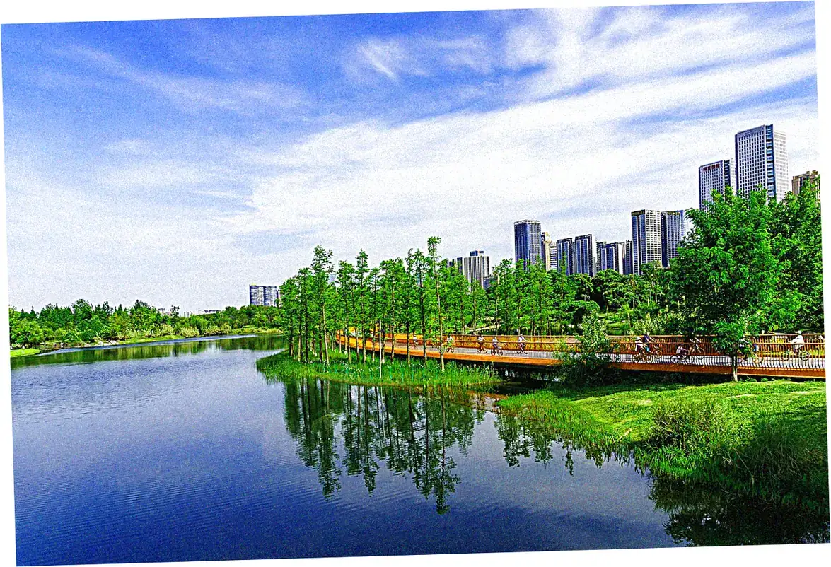 Seasonal Spectacles in China's Urban Parks