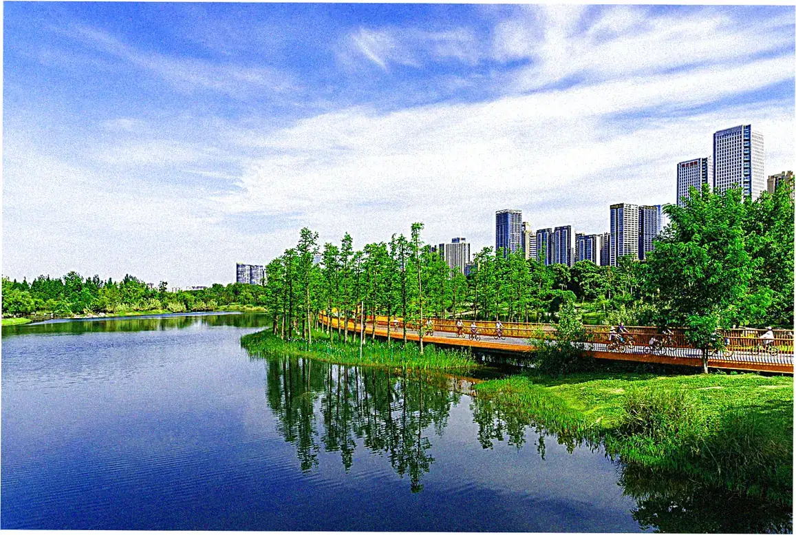 Chengdu's Park Culture
