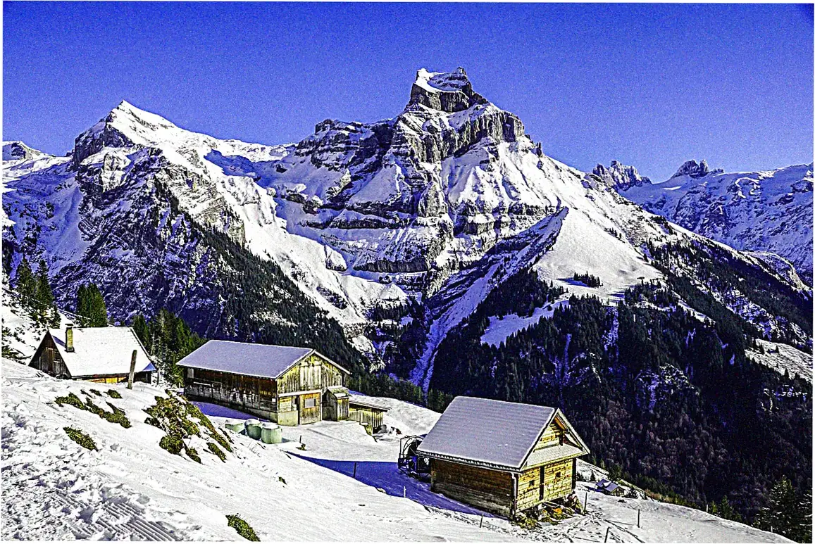 Sanqing Mountain Hiking Trails and Route Planning