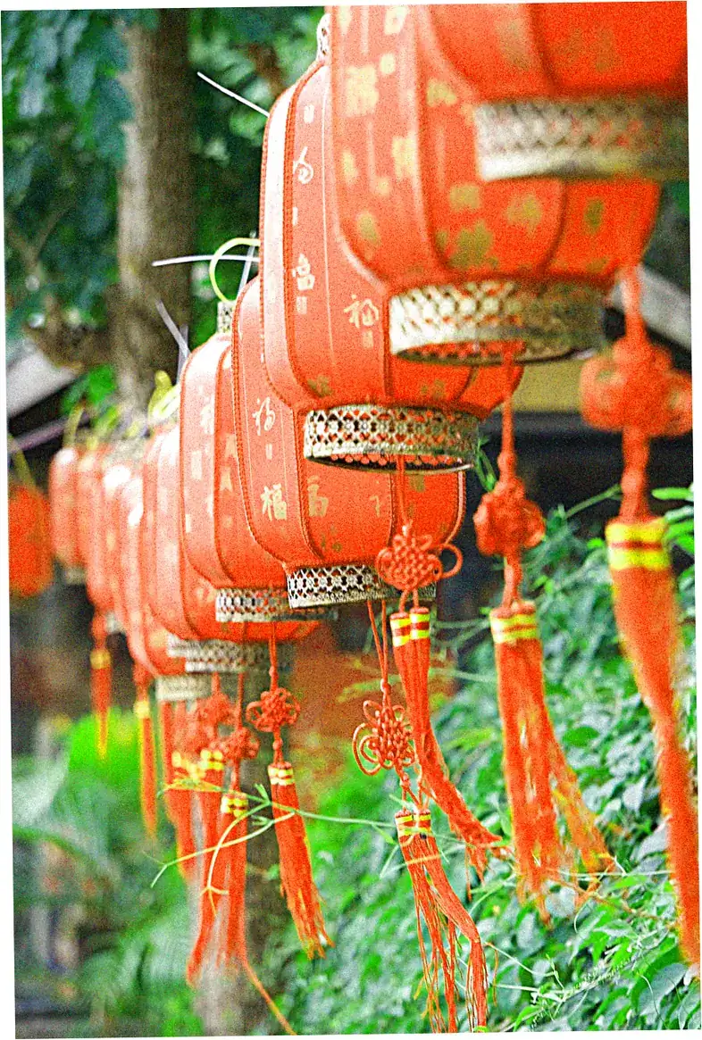 Signature Dishes You Must Try in Sanya