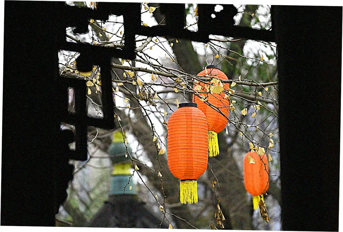Chinese Spring Festival Traditions and Modern Celebrations