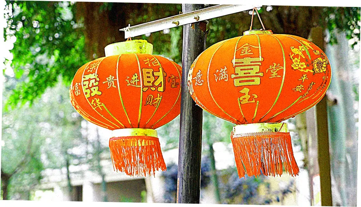 Cherry Blossom Festivals: Japan and Beyond
