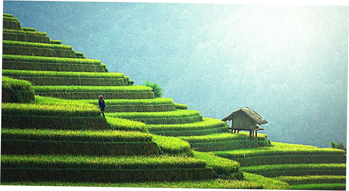 How to Get to Longji Terraces from Guilin