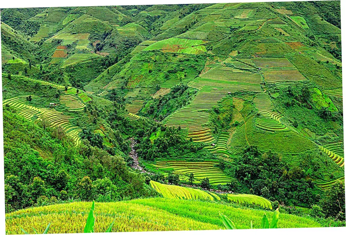 Longji Terraces Scenic Area Overview and Significance