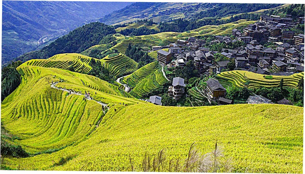 Hiking Trails and Must-See Viewpoints
