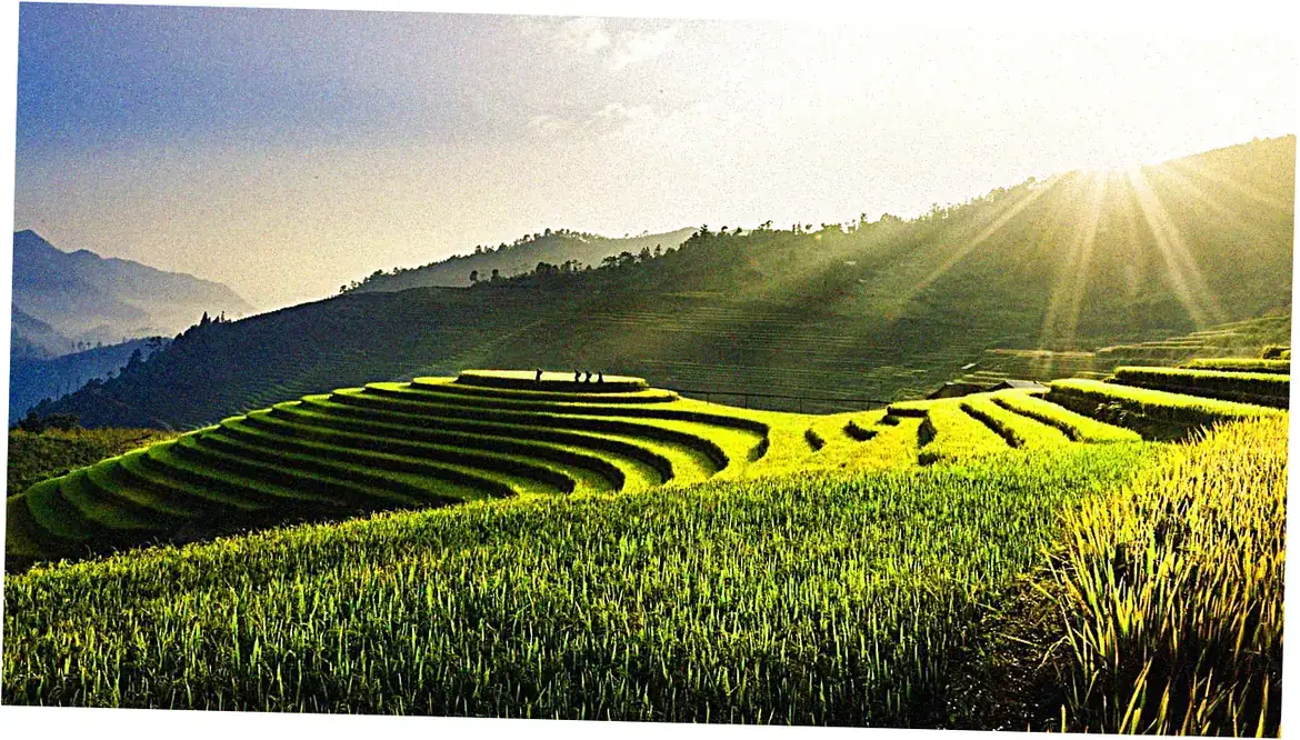 Best Time to Visit Longji Terraces