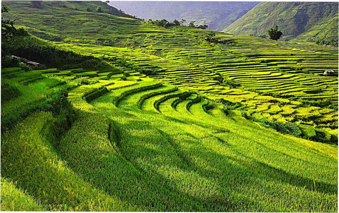 Hiking Trails and Must-See Viewpoints