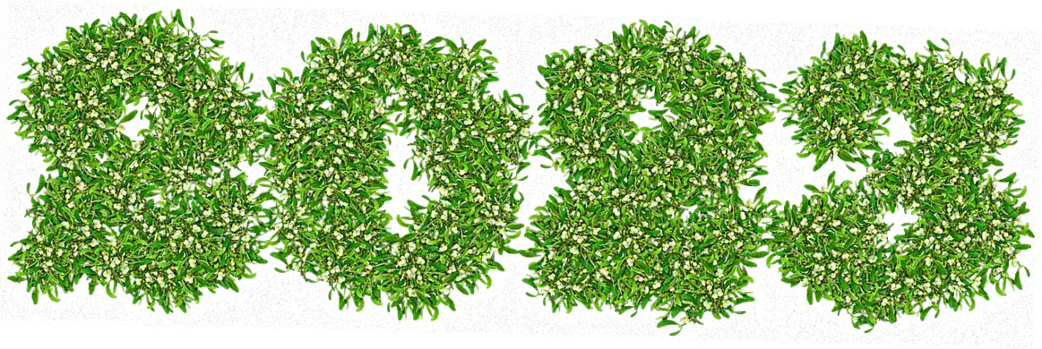 Spring Festival 2023 Travel and Transportation Patterns