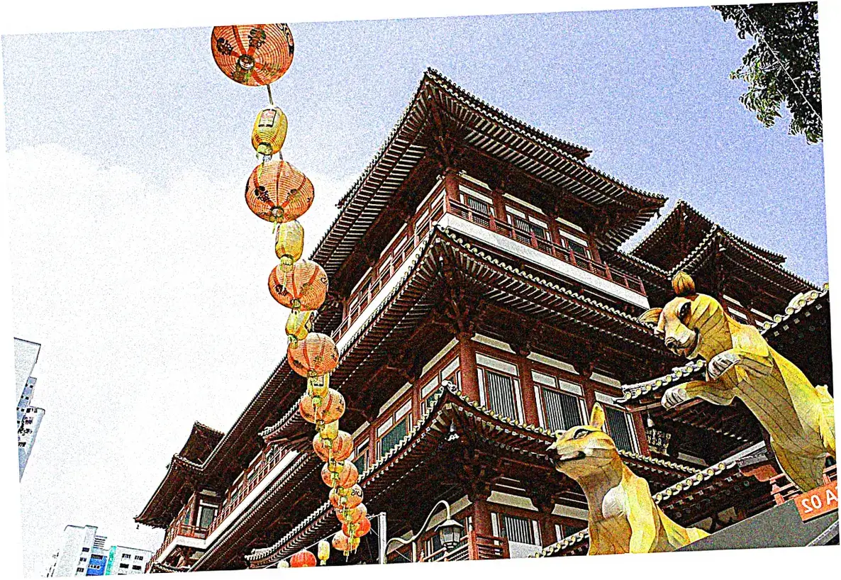 Practical Shopping Strategies During Lunar New Year