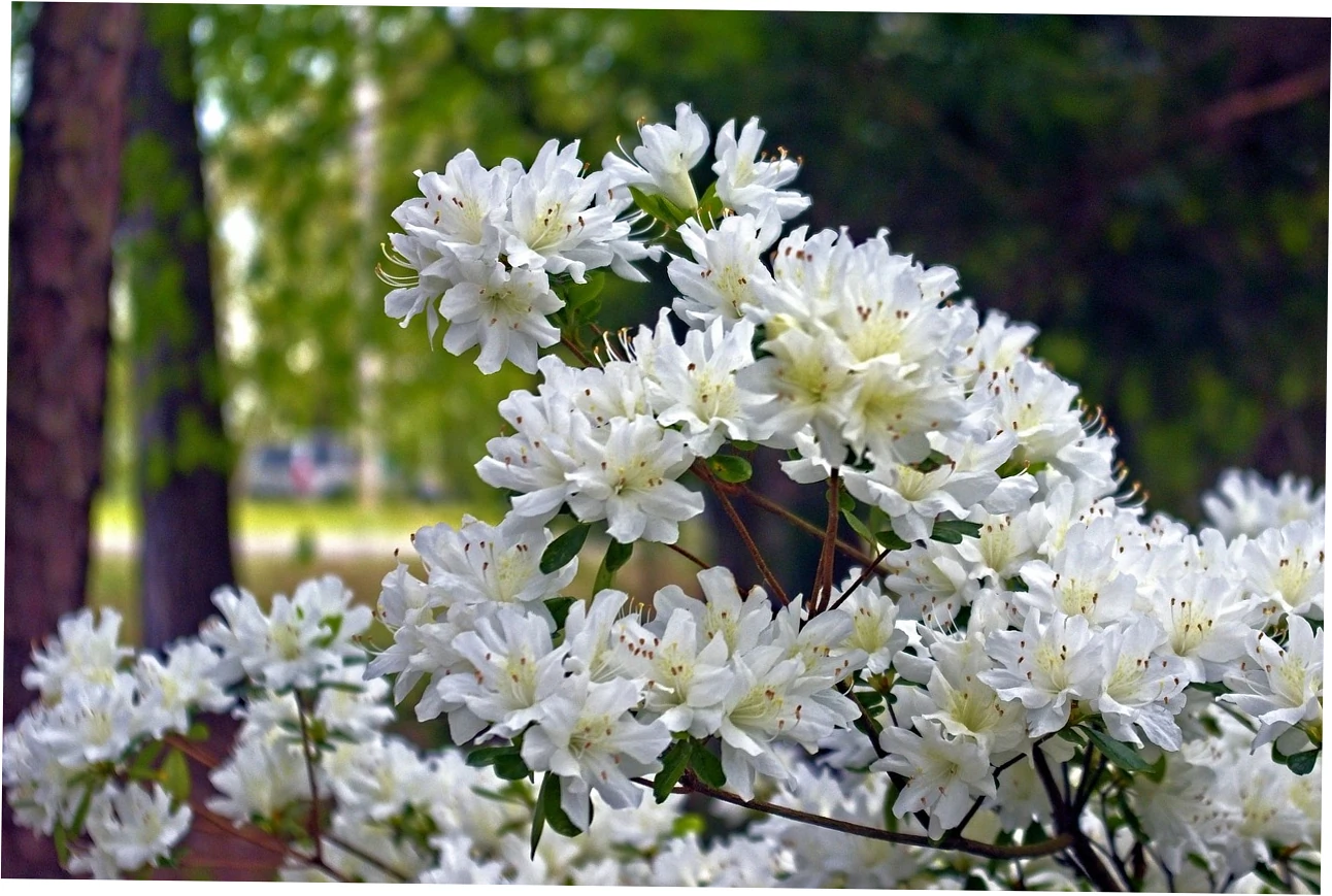What Is Shanghai's Weather Really Like in April?