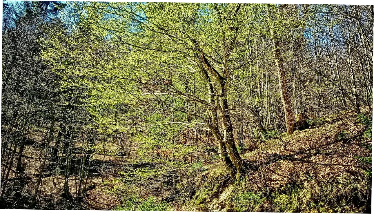 Zhangjiajie in April vs. Other Months: Which Is Better?
