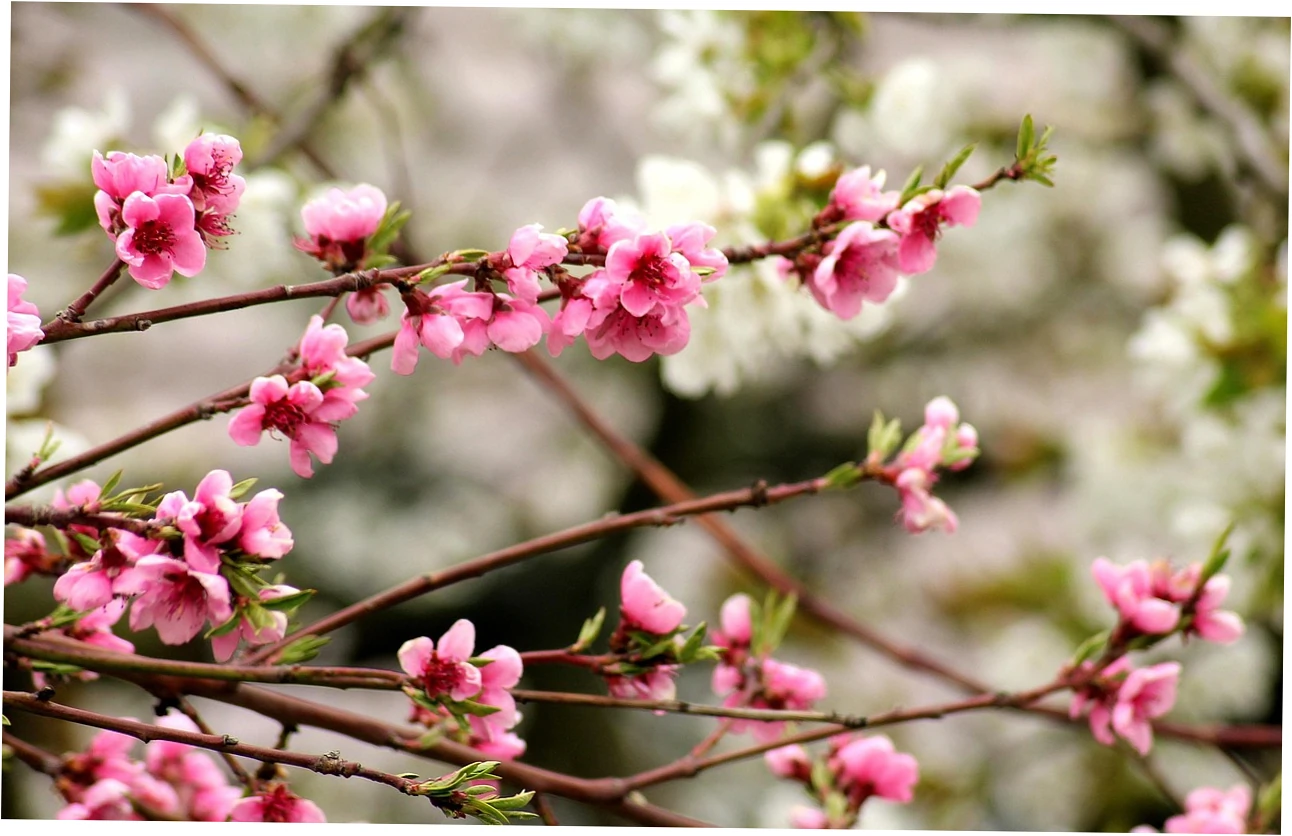 How Does Guangzhou in April Compare to Other Months?