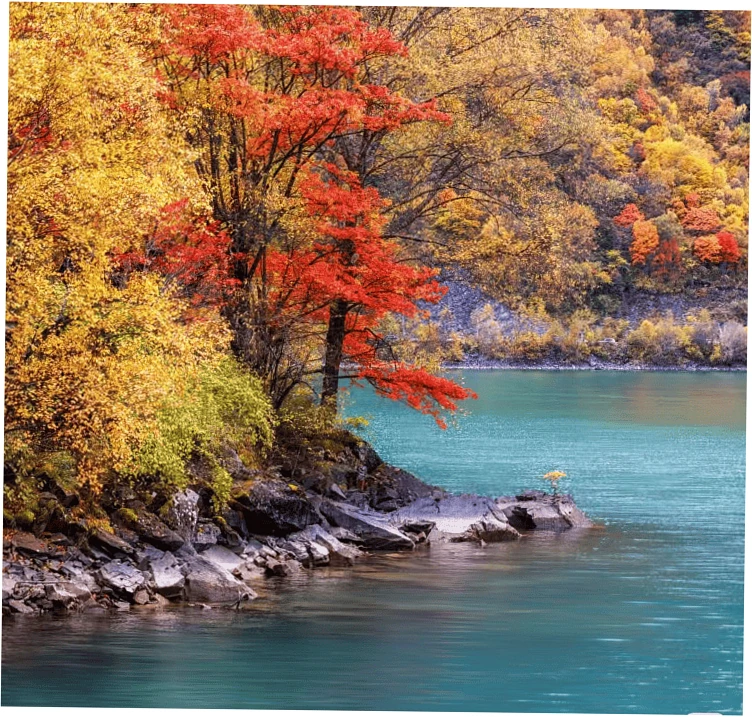 Best Itineraries and Scenic Stops Along the Way