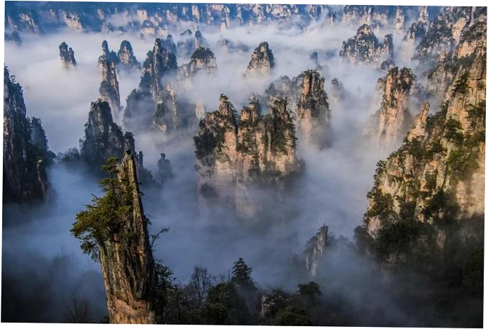 3. Best Routes and Transfer Tips from Shanghai