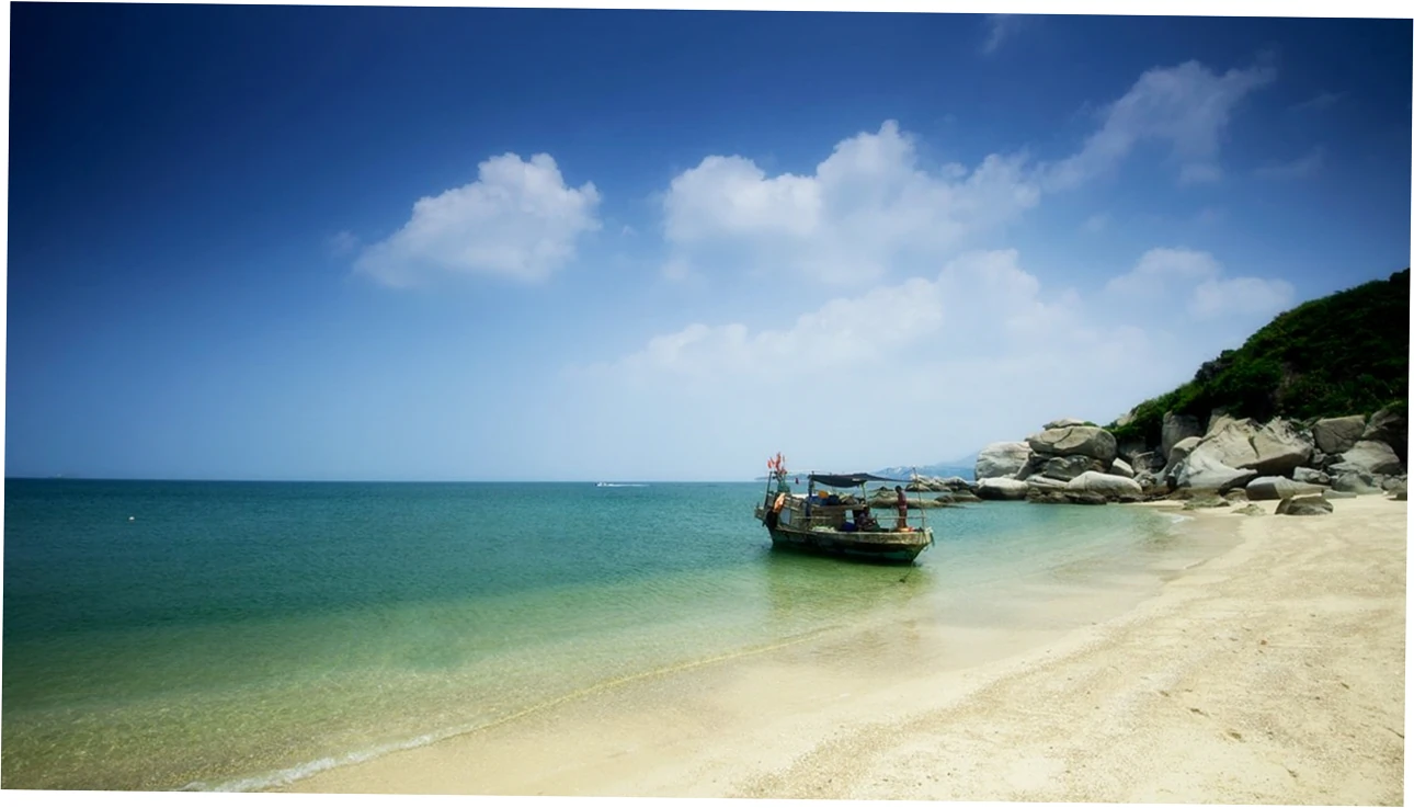 What exactly are Sanya Bay sharks?